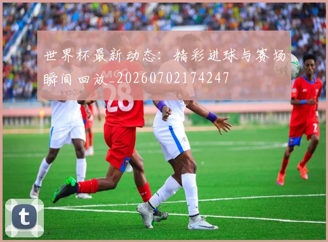 世界杯最新动态:精彩进球与赛场瞬间回放_20260702174247