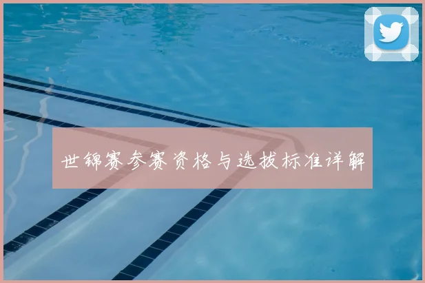 世锦赛参赛资格与选拔标准详解